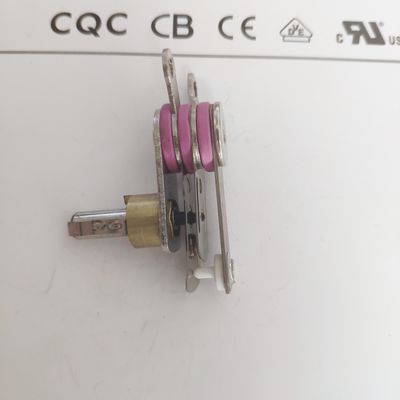 Elektrische Dampfpresse mit mechanisch einstellbarer Thermostattemperaturregelung 50-250