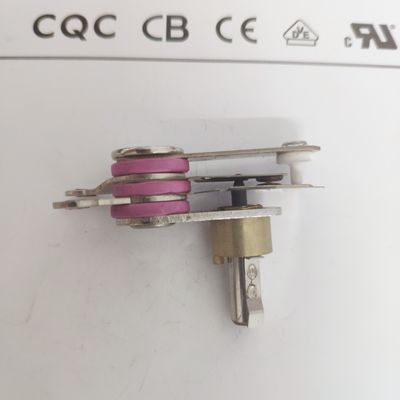 Elektrische Dampfpresse mit mechanisch einstellbarer Thermostattemperaturregelung 50-250