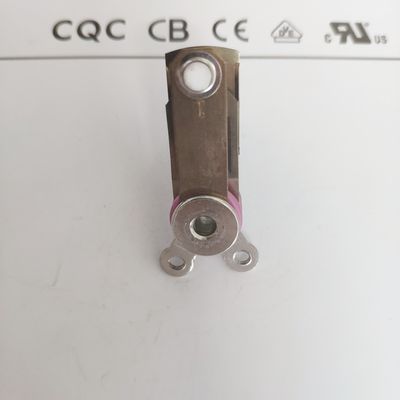 Elektrische Dampfpresse mit mechanisch einstellbarer Thermostattemperaturregelung 50-250