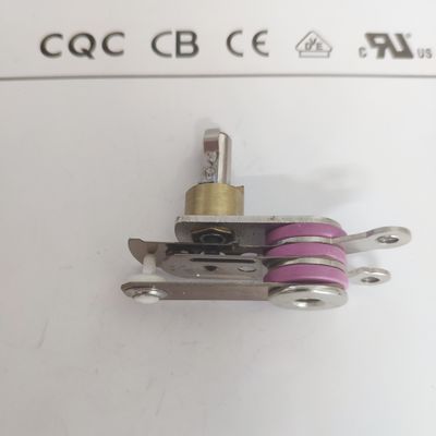 Elektrische Dampfpresse mit mechanisch einstellbarer Thermostattemperaturregelung 50-250